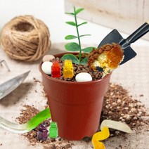 노오븐 화분 케이크 만들기 DIY 홈베이킹, 레옹 화분케이크 DIY 키트