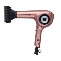 피닉스 캐치 항공기 모터 BLDC 헤어드라이어 VBL-1800 1800W, 브론즈