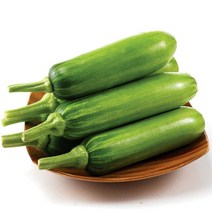 [농협] 애호박 5개(1.5kg내외), 단품