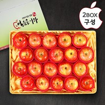 [산내들] 명품 밀양얼음골 기스사과 10kg(40내), 상세 설명 참조