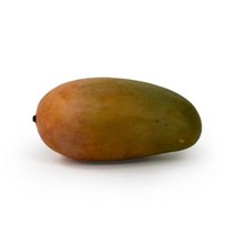 망고 모형 FM-002