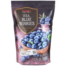 홈플러스시그니처_미국산냉동블루베리_1KG, 1