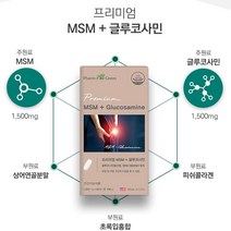 관절 통증 감소 에 좋은 영양제 무릎시릴때 뻣뻣함 관절 불편할때 msm 연골건강, 기본 1달치