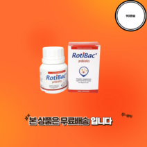 로티백 90캡슐 신장영양제 신부전 아조딜 노견영양제 핫딜, 1통