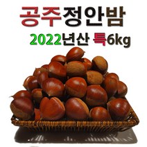 특대6kg 정안알밤 공주밤 정안밤 햇밤 알밤 밤 생율 국내산 옥광 대보 삼조생