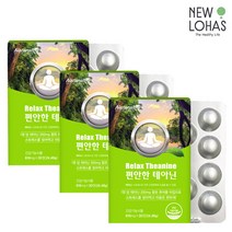 네츄럴라이즈 편안한 테아닌 3박스 3개월분, 3개