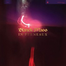 [LP] Blanck Mass (블랭크 매스) - 5집 In Ferneaux [LP], Secretly Distribution, 음반/DVD