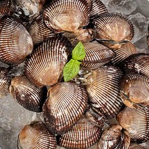 여수 바다를 가득 담아 오동통 쫄깃한 제철 피꼬막 1kg 3kg, 2)여수 피꼬막 3kg