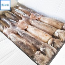 더푸름 중국 냉동 오징어 3KG 1박스 (약 10~11미), 1개