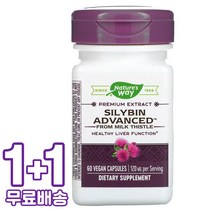 네이처스웨이 실리빈 어드밴스드 밀크씨슬 유래 120mg 비건 60캡슐 2통, 1개, 기본