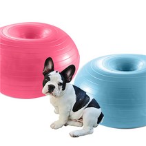 강아지 짐볼 슬개골탈구예방 훈련 트레이닝 펫스쿼트, 핑크