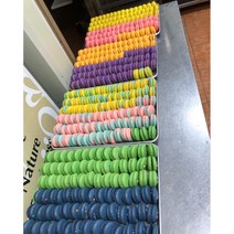 HACCP마카롱납품 뚱카롱납품 수제 마카롱 도매 대량주문 단일 마카롱 160개, 앙버터