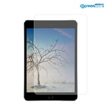 1+1 아이패드 미니 2 방탄 액정보호 필름, 시력보호(2매)