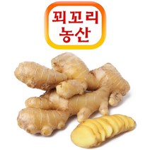 꾀꼬리농산 정품 봉동 박피생강 10kg 깐생강