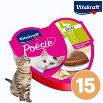 비타크래프트 고양이 포에시 하트캔 오리 배 1박스(15개입)