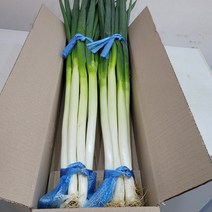 대파 국내산 손질대파 2단 2kg