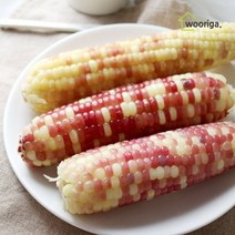 우리가스토리 홍찰 냉동 찰옥수수 32개 (14∼16cm)
