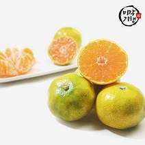 미각기행 제주 극조생 타이백감귤 중대 2.5kg (19~23과)