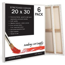 아카데미 아트 서플라이 스트레치 캔버스 20 x 30인치 회화용 100 코튼 아티스트 블랭크 캔버스 프리게소드 프리마이드 무산 캔버스 아크릴 및 유화에 완벽한 6팩, 20x30