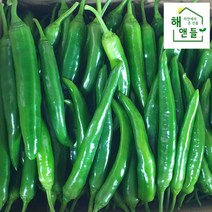 산지직송 당일수확 오이 고추 특품 아삭이고추 4kg 경남 밀양, 1개