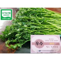 향이좋은 미나리 유기농 한재미나리 [선물용 생식용] ㅇ오후 4시전에 주문.입금하시면 다음날(화요일~토요일) 도착 합니다.[우리가족 안전식탁은 유기농산물로...]국립농산물품질관리원, 향이좋은 유기농 미나리 1팩, 1개