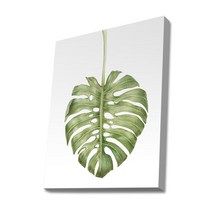 몽차 BT006 보태니컬 식물 캔버스액자