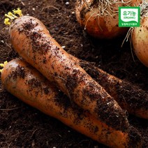 자연맛남 제주 유기농 흙당근 5kg 특상 혼합 225666, 1개