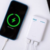 Pleigo 10000mAh 2대기기 동시충전 보조배터리 (B112) 스마트폰 태블릿