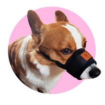 강아지 짖음방지기 소형견 입마개 반려견 애견 시바견 말티즈 닥스훈트, 예보들 입마개M, 핑크