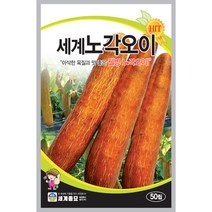 세계노각오이 50립/세계종묘 노각오이씨앗, 1봉