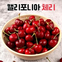 미국산 체리 캘리포니아체리 생체리 제철체리 점보사이즈 (9.5R), 체리 9.5R 1kg