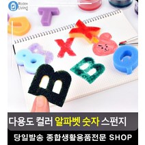 숫자 알파벳 공부 가능 다용도 스펀지 미술만들기 초등학교영어 유아방문미술 문구