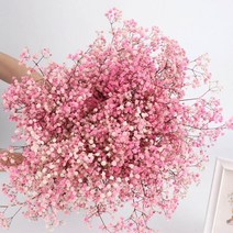 조화 화분 고퀄리티 플랜테리어 인테리어 소품 선물 의 호흡 말린 꽃 배열 꽃 결혼식 홈, 첸 핑크, 120g