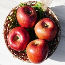 농부파파 경북 청송 저온착즙 달콤한 사과즙 사과주스 110ml 50포, (정품) 5kg 중   (16-18과)