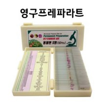 중학교과학 현미경표본 동물세포 50종 홈스쿨링 학습도구 연구실 영구 실험준비물