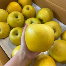 시나노골드사과 시나노골드 5kg 캄므, 5kg중과(16-18과)