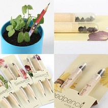 자연관찰 졸업 입학선물 씨앗연필 필통 세트 _ 230206EA, 봉선화