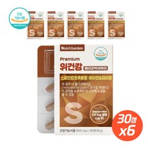위건강 위점막보호 헬리코박터균X6개 여성 면역기능 케어 30대 40대 50대 남녀 비타민 미네랄 건강기능식품, 본문참고, 본문참고