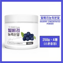 빌베리 분말 가루 파우더 오스트리아산 빌베리 농축액 100% 안토시아닌 폴리페놀 고함량 온가족 눈 건강 추천, 4통, *빌베리 분말 250g (스푼증정)