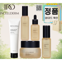 [인셀덤 본점] 정품QR인증 / 당일발송 - 5종 BASIC SET [ 부스터+세럼+크림+미스트+클렌저 ] + 고급종이백 / 폼 / 클렌징 모공청소 INCELLDERM, 1개