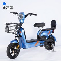 전기 오토바이 스쿠터 자전거 배터리 전동 충전, 48V 20A 납산 배터리, 로즈 골드
