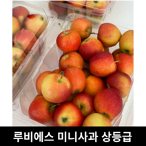 [국내산/국산] 루비에스미니사과 상등급 2kg 1kg / 간식용 가정용 사과 알프스오토메 루비에스사과 루비에스 감홍사과 작은사과 루비사과 미니사과, 간식용 1kg (빨강 70~80%)