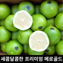 새콤달콤 미국 청자몽 메로골드 대과 8개 16개 / 당일선별 스위티 청 자몽 미국산 메로골드자몽 황금자몽 청자몽 청자몽메로골드 메로자몽 골드자몽 자몽청, B급못난이(15개)