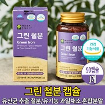 임산부 철분 영양 제 유산균 추출 비헴철 IRON 임산부 가임기 여성 수유부 성장기 어린이 청소년, 1개, 90캡슐