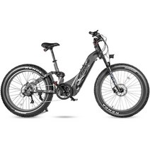 팻바이크 전기자전거 광폭 MTB Cyrusher Trax 하이브리드 모든 지형 전기 자전거 | 750W 52V 20Ah 토크 센, 03 gray, 한개옵션1