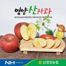 경북 영양농협 사과 꿀부사 5kg 14-16과 미세기스, 단품