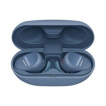 소니 블루투스 완전무선 이어폰, WF-SP800N, 블루