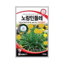 모칸도 (무배)세계 민들레 꽃씨 (노랑)1000립, 1개