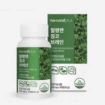 기억력 저하 개선 은행잎 추출물 영양제 깅코 인지력 감퇴 은행엽 뇌영양제 프라보놀 중년 저하개선 항산화