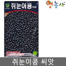 쥐눈이콩씨앗 30g, 쥐눈이콩, 1개
